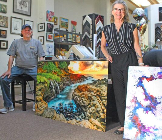 Jeff Bentz Dee Dee Torre Leedo Art & Framing downtown gilroy third friday art walk