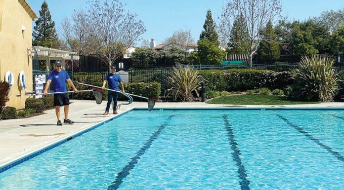 all seasons pool service dean filice nolan