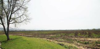 camino arroyo amazon web services data center agricultural land