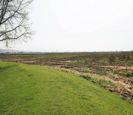 City seeks consultants for Amazon project camino arroyo amazon web services data center agricultural land