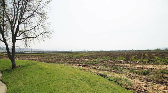 camino arroyo amazon web services data center agricultural land