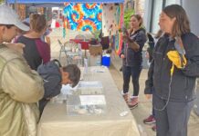 Wildlife Education and Rehabilitation Center