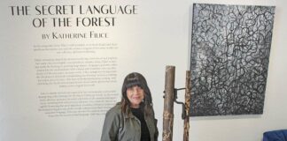 katherine filice gallery 1202 secret language of the forest