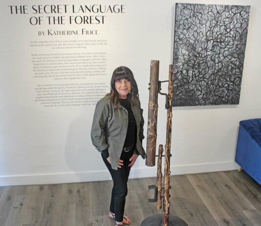 katherine filice gallery 1202 secret language of the forest