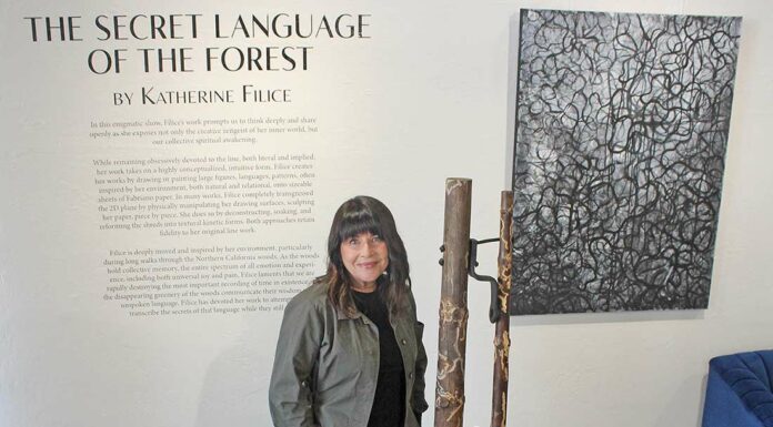 katherine filice gallery 1202 secret language of the forest