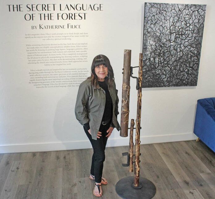 katherine filice gallery 1202 secret language of the forest