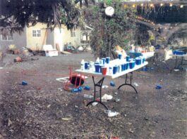 Editorial: Rebeca should resign