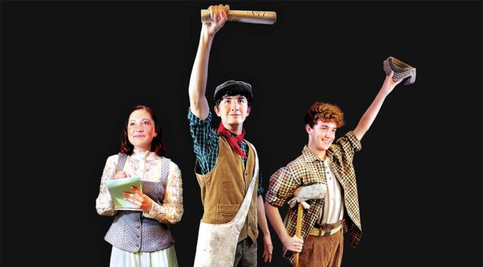 newsies jr south valley civic theatre