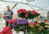 syngenta flowers ryan hall california spring trials hydrangea
