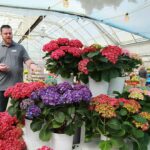 Image for display with article titled Flower Breeder Showcases the Latest Trends in Home Gardening