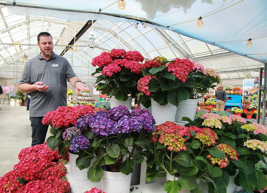 Brilliant Blooms Flower Breeder