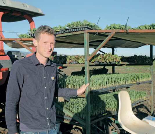 Spade & Plow brings new life to South Valley ranch