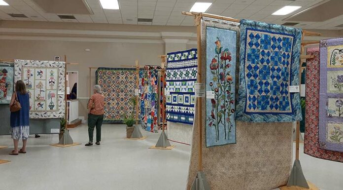 IFDES Lodge AAUW quilt show