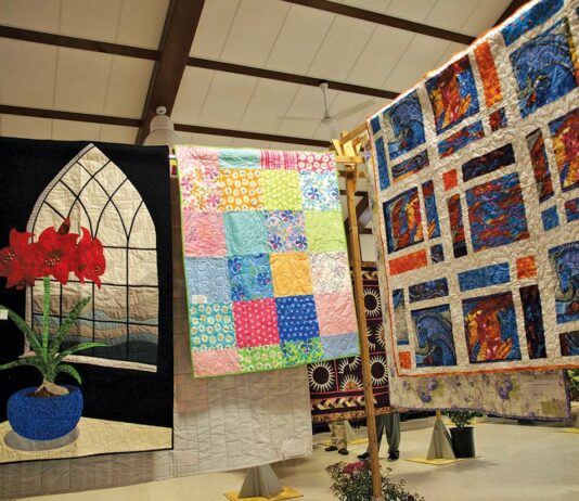 Gilroy Branch American Association of University Women Quilt Show
