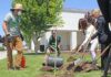 Marisa Zulaski Our City Forest South County Annex Arbor Day tree planting
