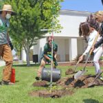 Image for display with article titled Local Scene: Tree planting, holiday benefit concert