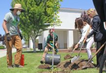 Marisa Zulaski Our City Forest South County Annex Arbor Day tree planting