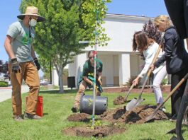 Marisa Zulaski Our City Forest South County Annex Arbor Day tree planting