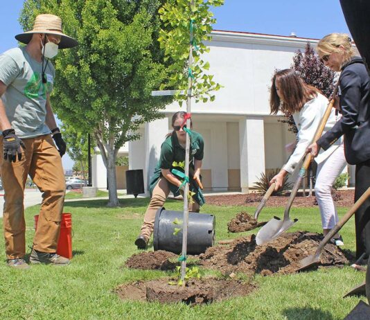 Marisa Zulaski Our City Forest South County Annex Arbor Day tree planting