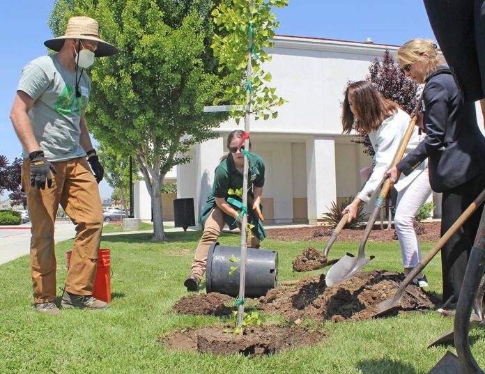 Marisa Zulaski Our City Forest South County Annex Arbor Day tree planting