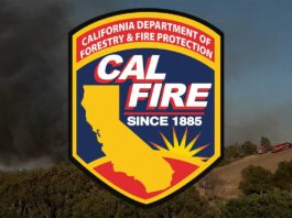 Vegetation fire burns near Redwood Retreat Road