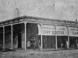 Dannenbaum Loupe Dry Goods and Carpet Store fifth monterey street downtown gilroy 1877