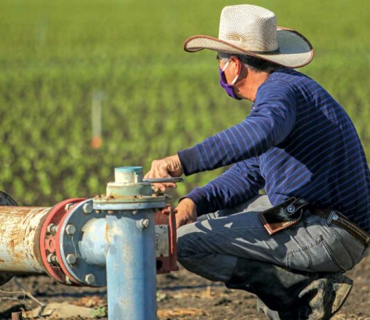 Study: Employers fail to keep farmworkers safe from Covid