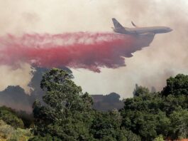 anzar fire aromas