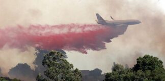 anzar fire aromas
