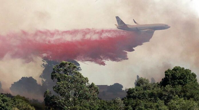 anzar fire aromas