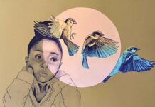 gallery 1202 chloe alexander use your imagination