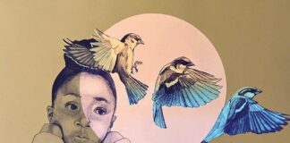 gallery 1202 chloe alexander use your imagination