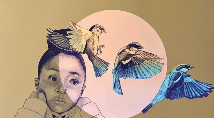 gallery 1202 chloe alexander use your imagination