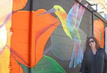 sheryl cathers mural downtown gilroy railroad alley tempo kitchen bar