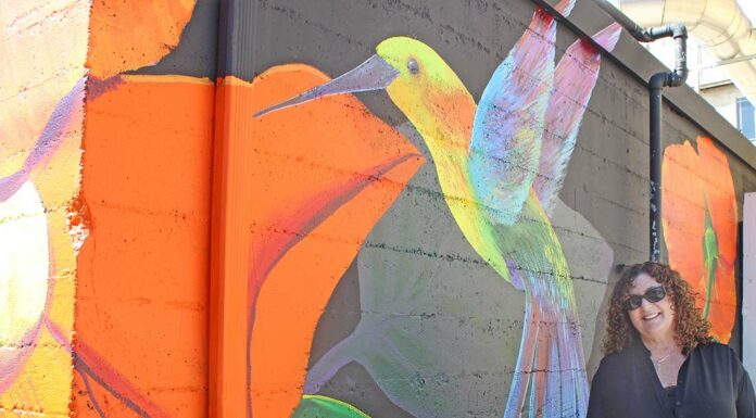 sheryl cathers mural downtown gilroy railroad alley tempo kitchen bar