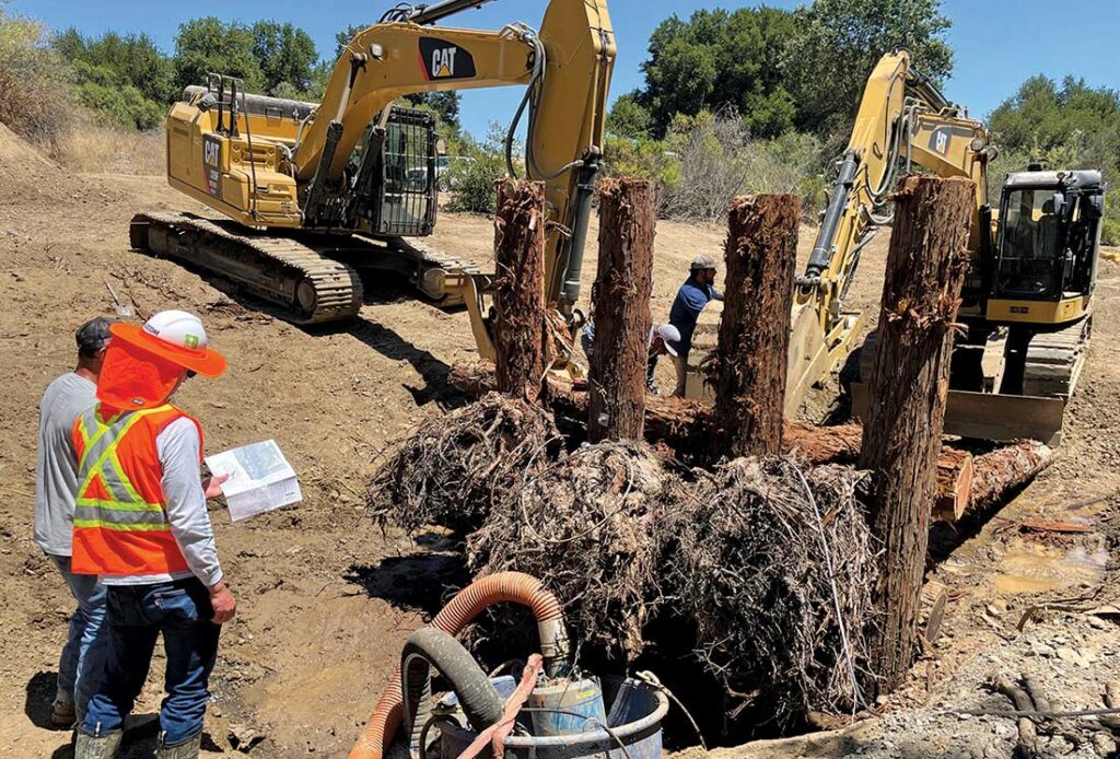 uvas creek christmas hill park valley water fish habitat