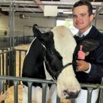 Image for display with article titled Gilroy FFA shines bright at Santa Clara County Fair