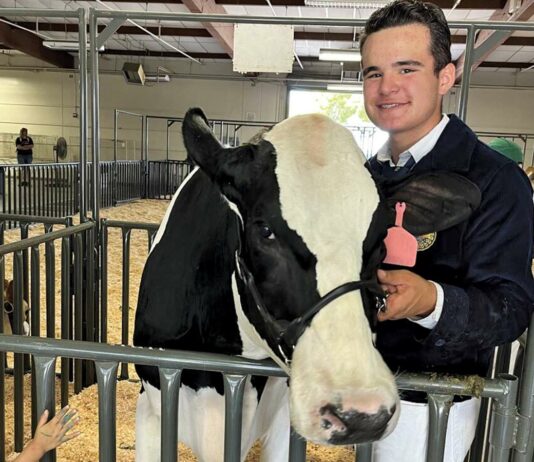don rose gilroy ffa santa clara county fair