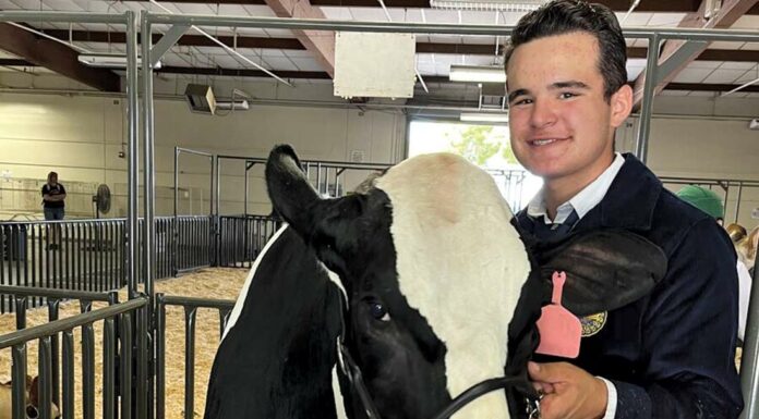 don rose gilroy ffa santa clara county fair