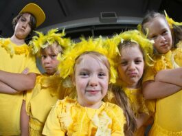 honk jr south valley civic theatre