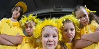 honk jr south valley civic theatre