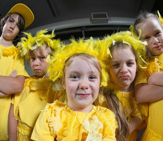 honk jr south valley civic theatre