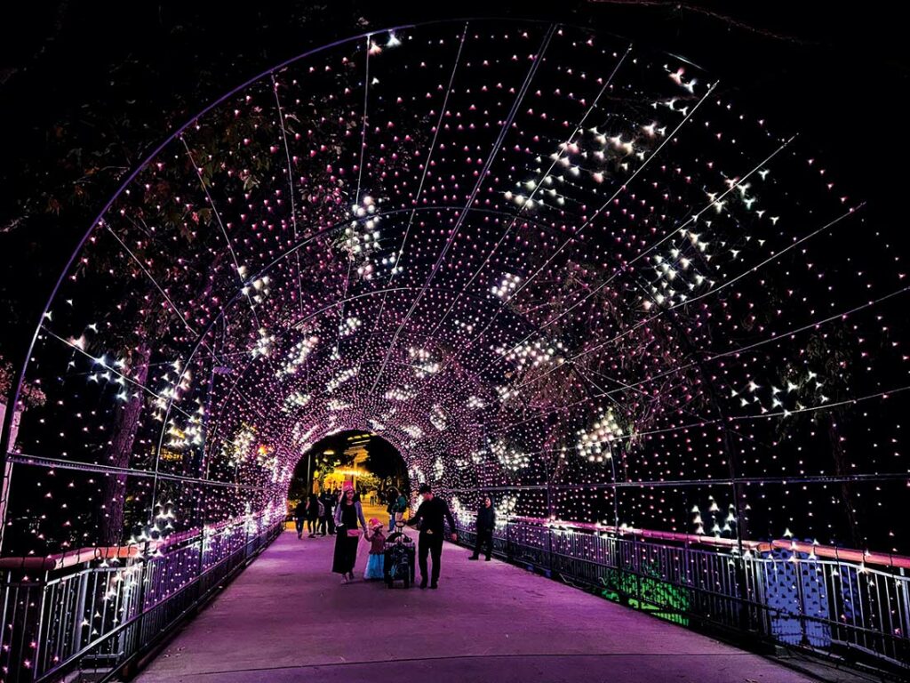 gilroy gardens halloween lighted tunnel