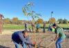 arbor day sunrise park parks recreation commission