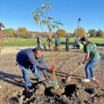 Image for display with article titled Photo: Tree planting at Sunrise Park