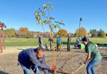 arbor day sunrise park parks recreation commission