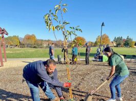 arbor day sunrise park parks recreation commission