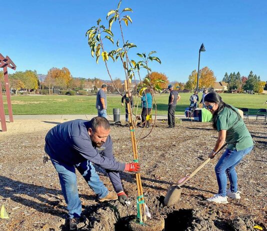 arbor day sunrise park parks recreation commission