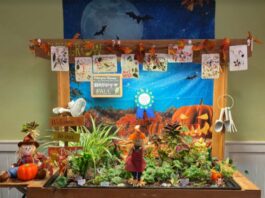 merrill gardens eldergrow happiest and healthiest garden award