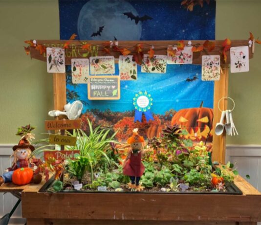 merrill gardens eldergrow happiest and healthiest garden award